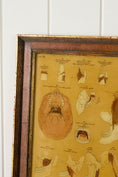 Load image into Gallery viewer, Early 20th Century English School Anatomy Prints with Walnut Frames + Inner Gilt
