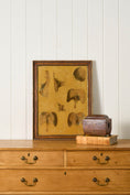 Load image into Gallery viewer, Early 20th Century English School Anatomy Prints with Walnut Frames + Inner Gilt
