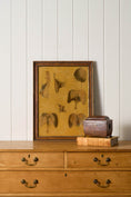 Load image into Gallery viewer, Early 20th Century English School Anatomy Prints with Walnut Frames + Inner Gilt
