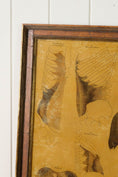 Load image into Gallery viewer, Early 20th Century English School Anatomy Prints with Walnut Frames + Inner Gilt
