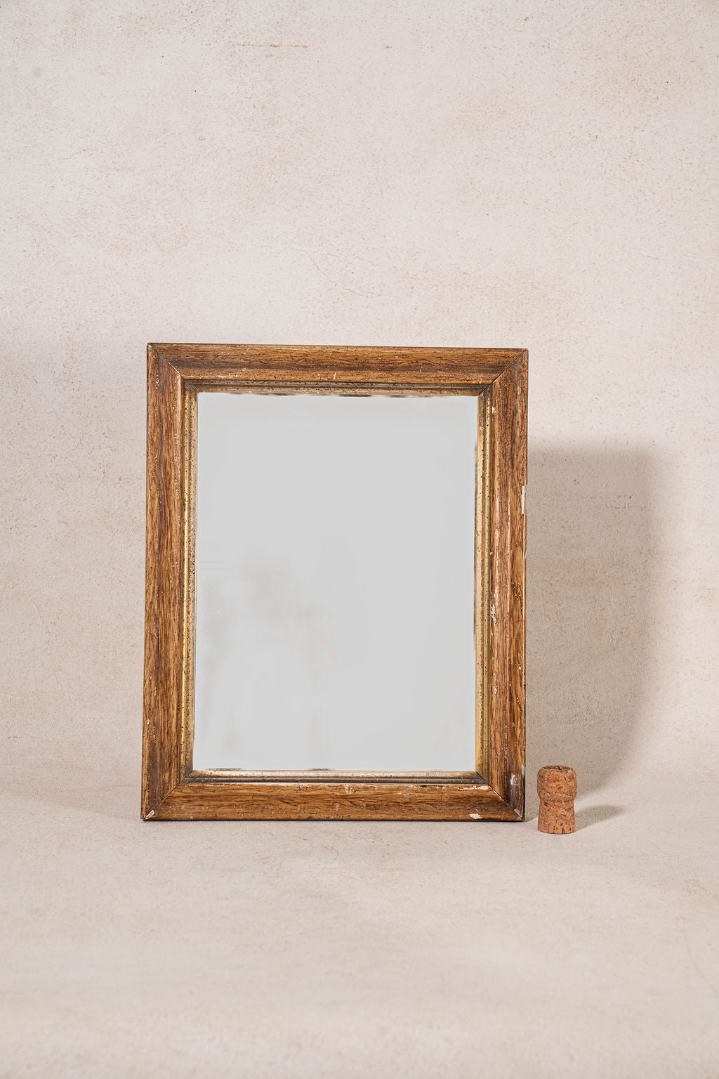 Petite Giltwood Mirror (c. 1880)