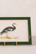 Load image into Gallery viewer, Antique Hand Colored Goose Engraving (c. 1865) | in Contemporary Green Lacquer Frame
