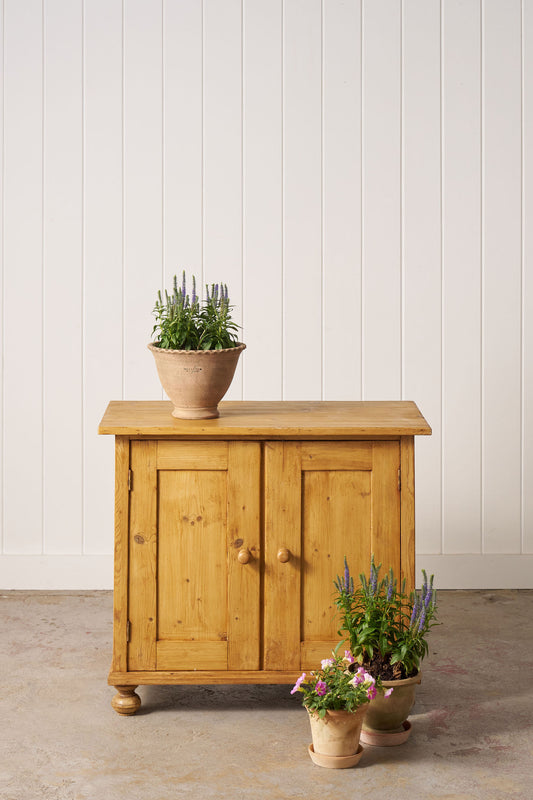 19th Century English Victorian Pine Cupboard