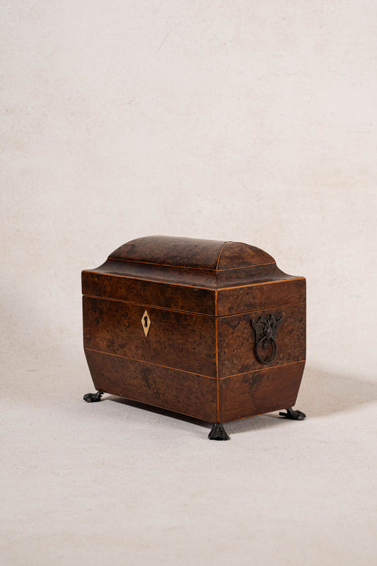 Regency Burl Yew Tea Caddy (c. 1820)