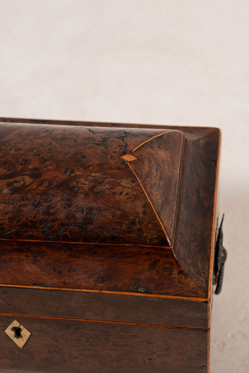 Regency Burl Yew Tea Caddy (c. 1820)