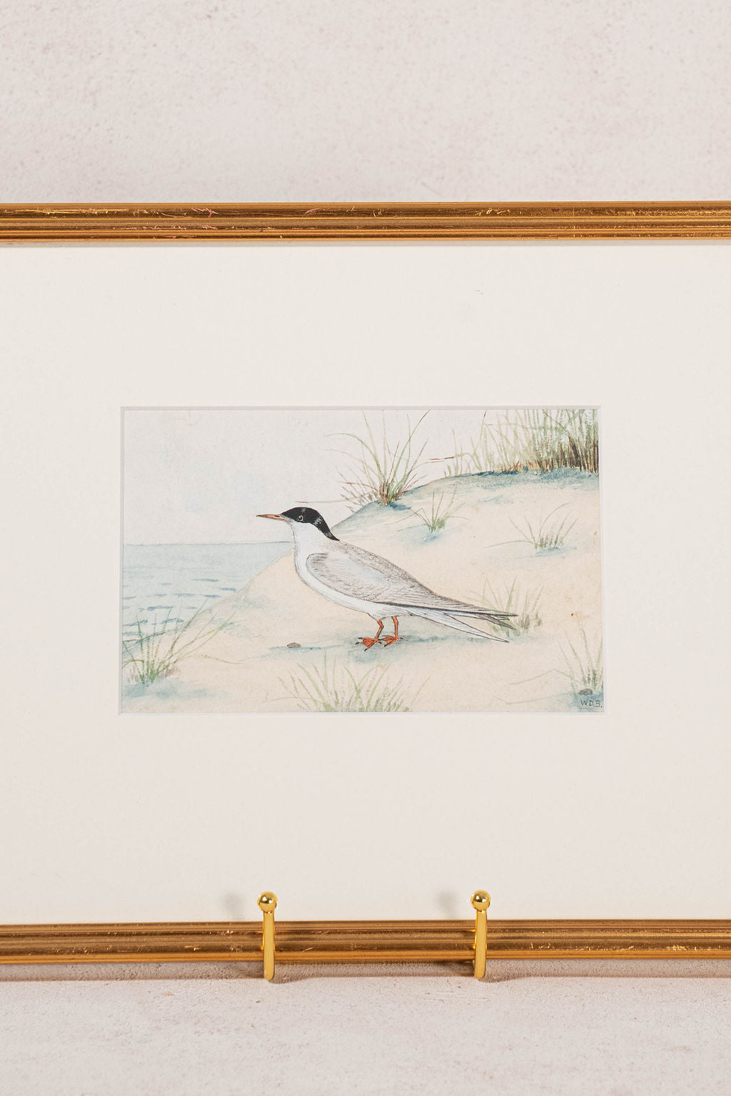 Mid-Century English School Framed Watercolor of ‘Common Tern’ Bird | Initial Signed