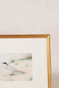 Load image into Gallery viewer, Mid-Century English School Framed Watercolor of ‘Common Tern’ Bird | Initial Signed
