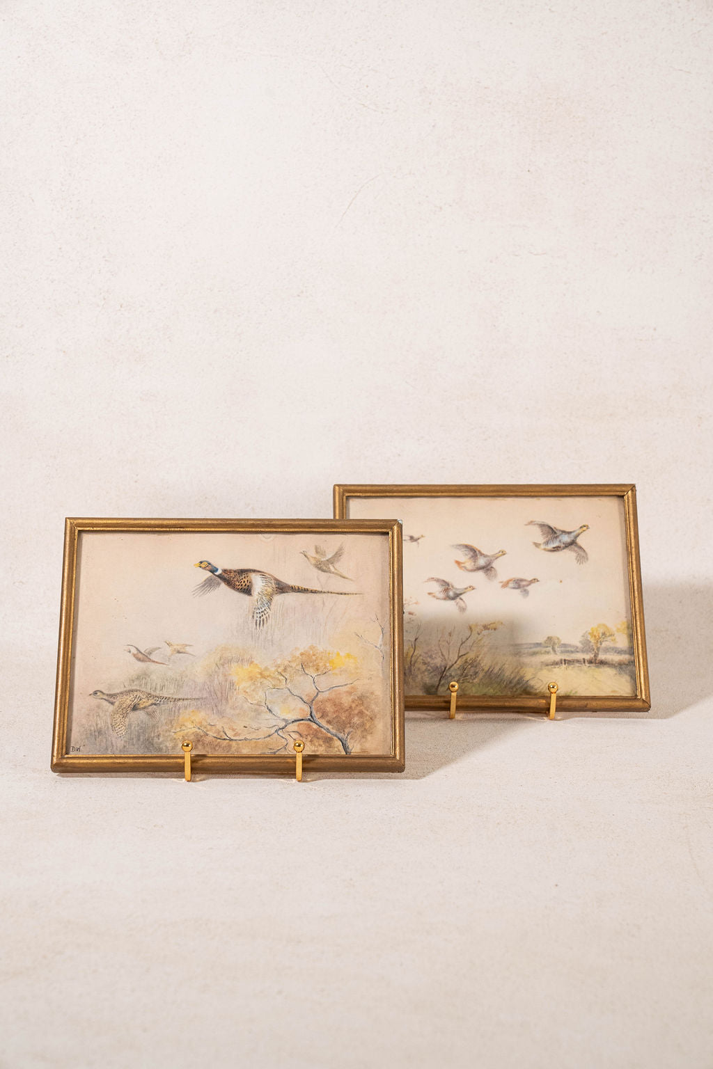 PAIR Original Watercolor Pheasants Flying (c.1920)