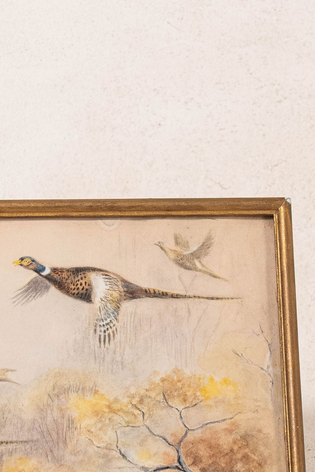 PAIR Original Watercolor Pheasants Flying (c.1920)