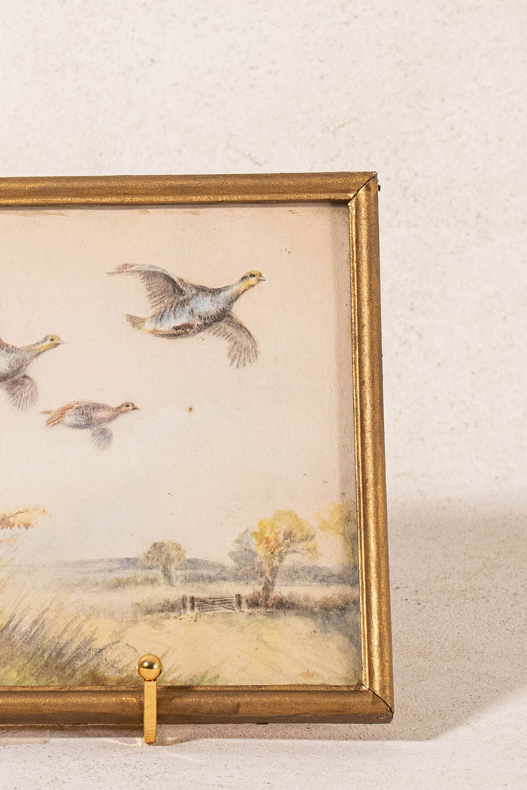PAIR Original Watercolor Pheasants Flying (c.1920)