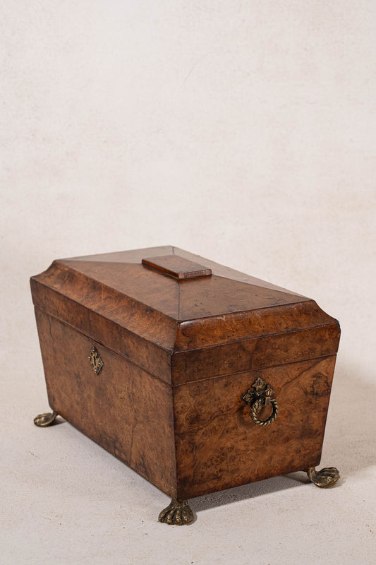 Antique Burl Walnut Tea Caddy with Claw Feet
