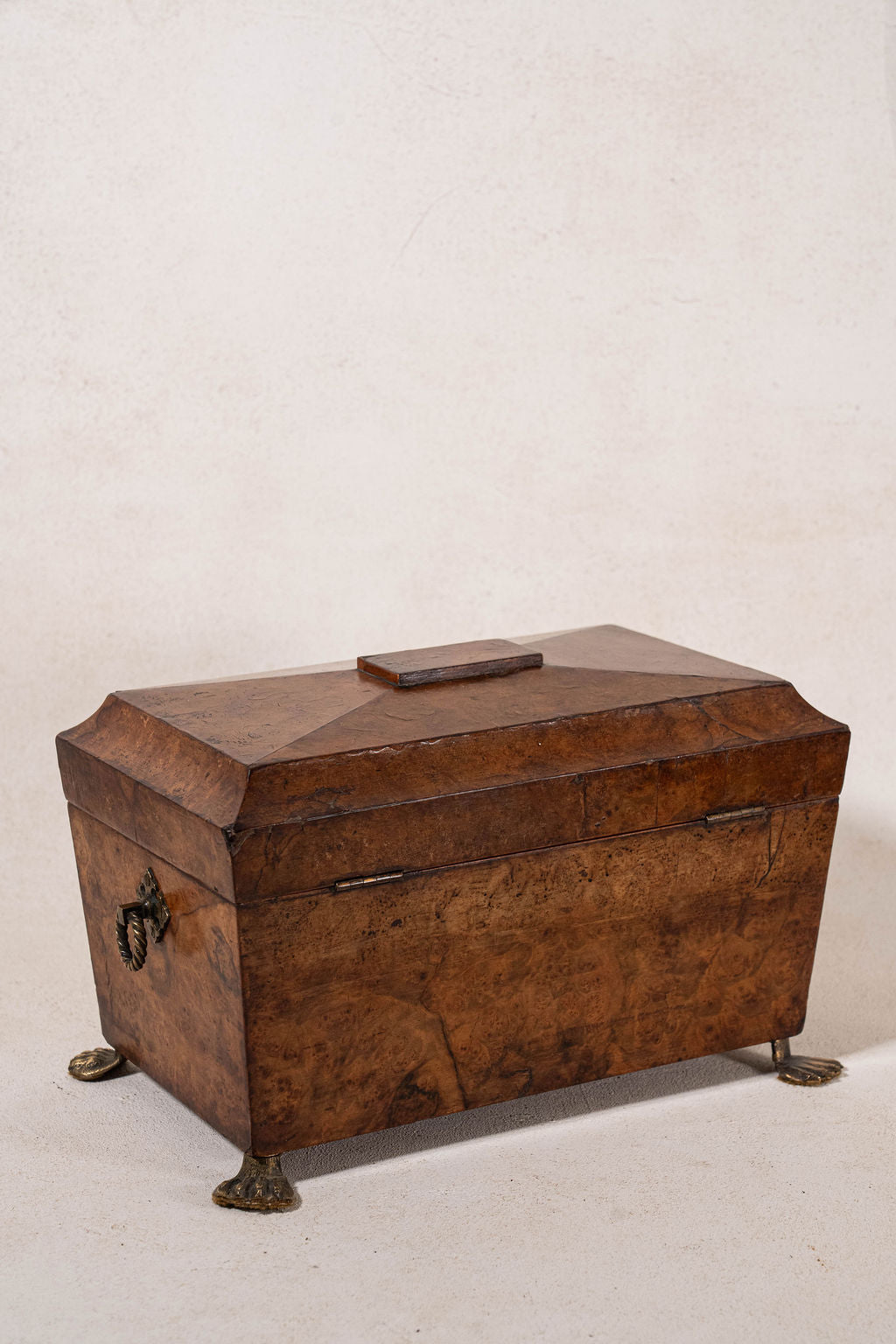 Antique Burl Walnut Tea Caddy with Claw Feet