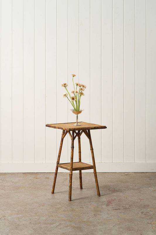 19th Century Tortoise Bamboo Two Tier Single Side Table