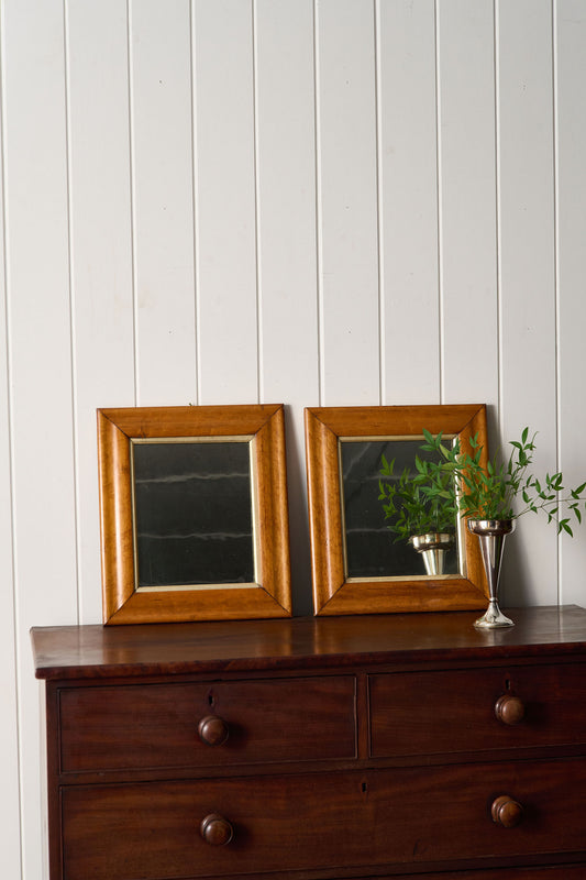 PAIR of 19th Century Maple Framed Mirrors