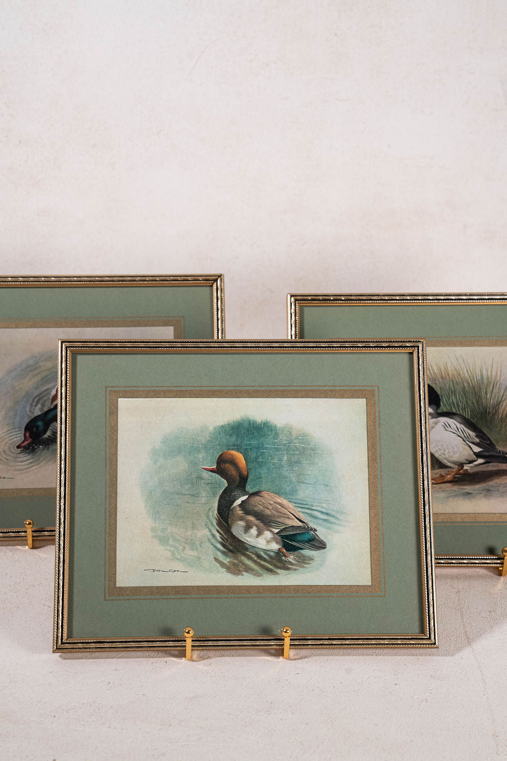 SET of 3 Signed Duck Prints with Green Mats