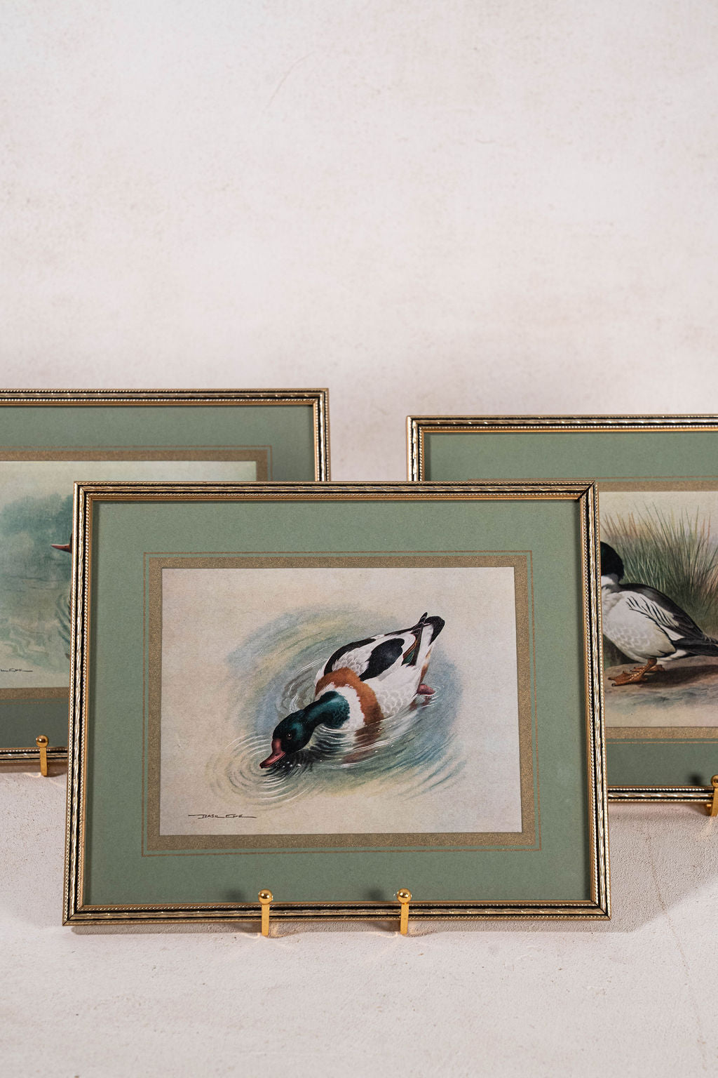 SET of 3 Signed Duck Prints with Green Mats