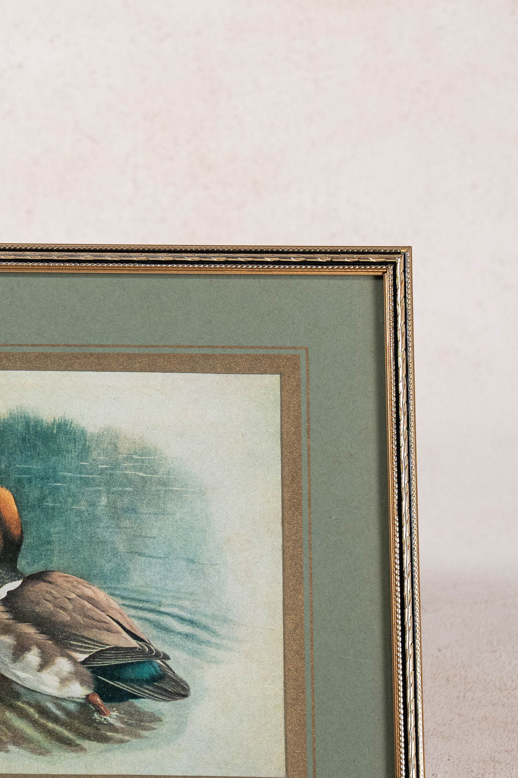 SET of 3 Signed Duck Prints with Green Mats