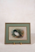 Load image into Gallery viewer, SET of 3 Signed Duck Prints with Green Mats
