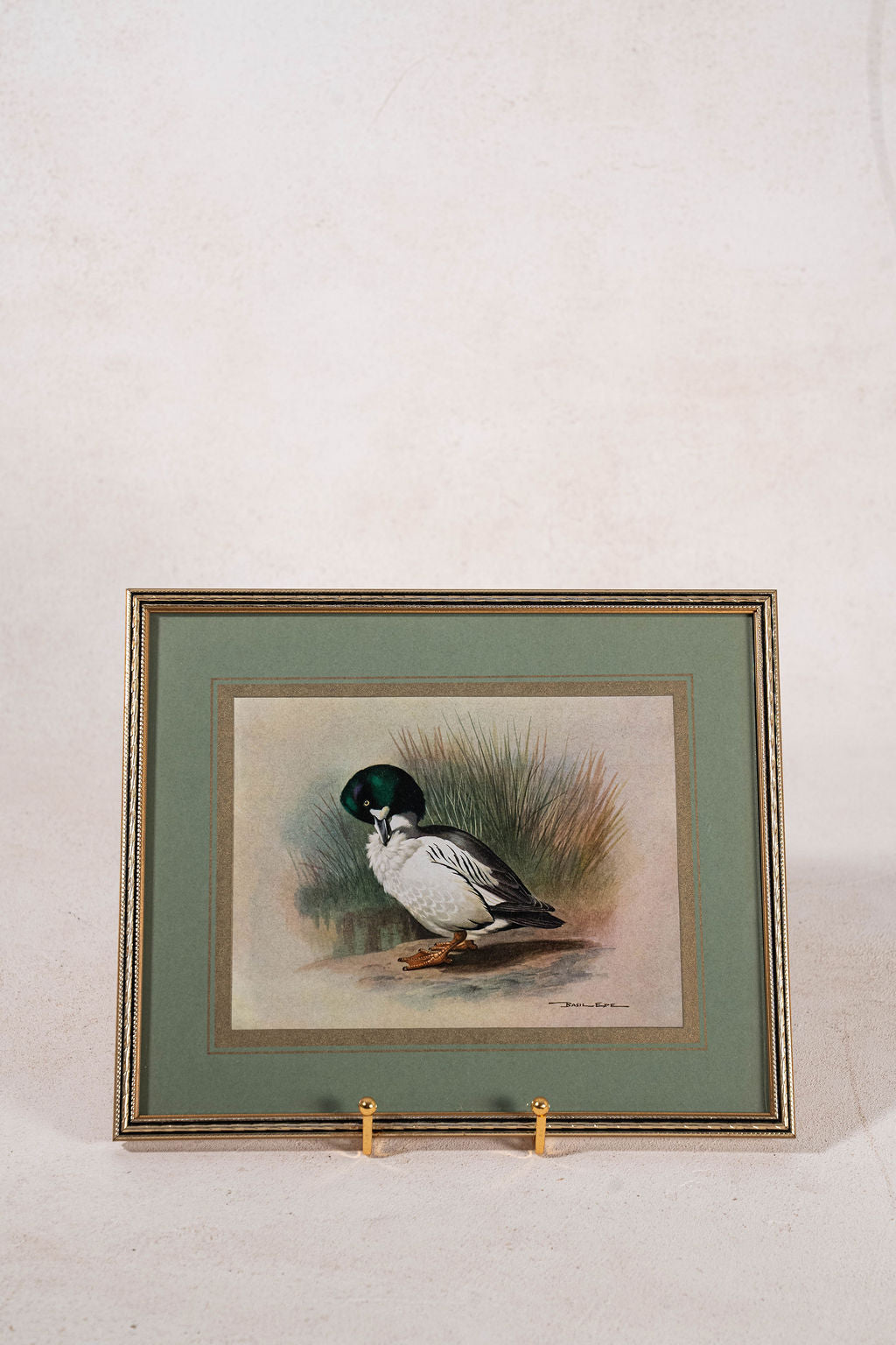 SET of 3 Signed Duck Prints with Green Mats