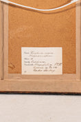 Load image into Gallery viewer, PAIR Swedish Herbariums in Black + Gilt Frames (d.1953)

