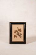 Load image into Gallery viewer, PAIR Swedish Herbariums in Black + Gilt Frames (d.1953)
