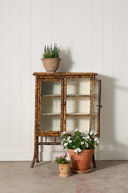 19th Century Tortoise Bamboo 2-Door Glass Front Cabinet