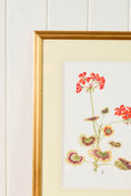 Load image into Gallery viewer, Hand Colored Herbarium Geranium Botanical
