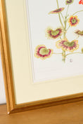 Load image into Gallery viewer, Hand Colored Herbarium Geranium Botanical
