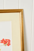 Load image into Gallery viewer, Hand Colored Herbarium Geranium Botanical
