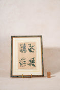Load image into Gallery viewer, SET of 4 | Framed Antique English Hand Colored Botanical Engravings
