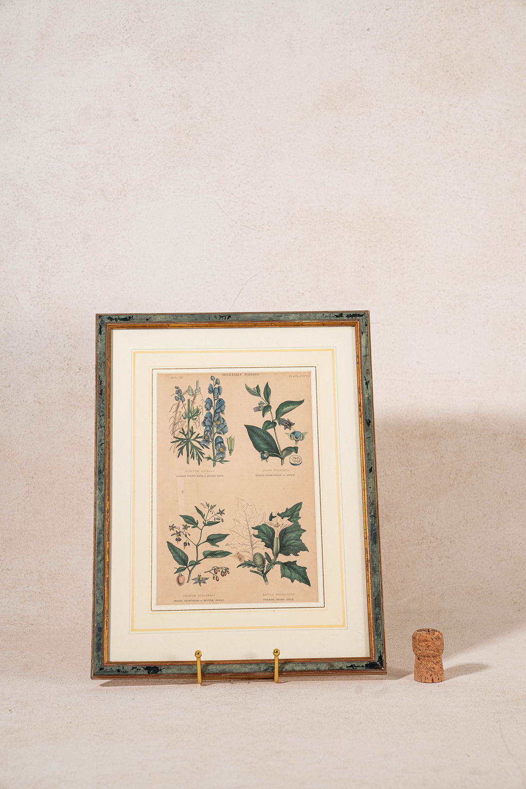 SET of 4 | Framed Antique English Hand Colored Botanical Engravings