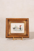Load image into Gallery viewer, Antique Hand Colored Duck Engraving in Vintage Oak Frame
