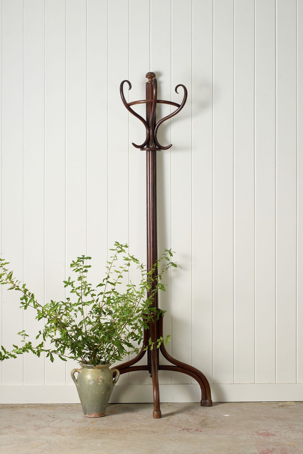 Dark Demilune-Style Bentwood Coat Rack (c. 1900)