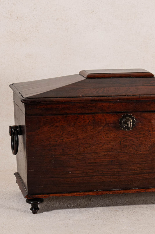 Antique Regency Sarcophagus Tea Caddy on Petite Tulip Feet with Interior Fittings