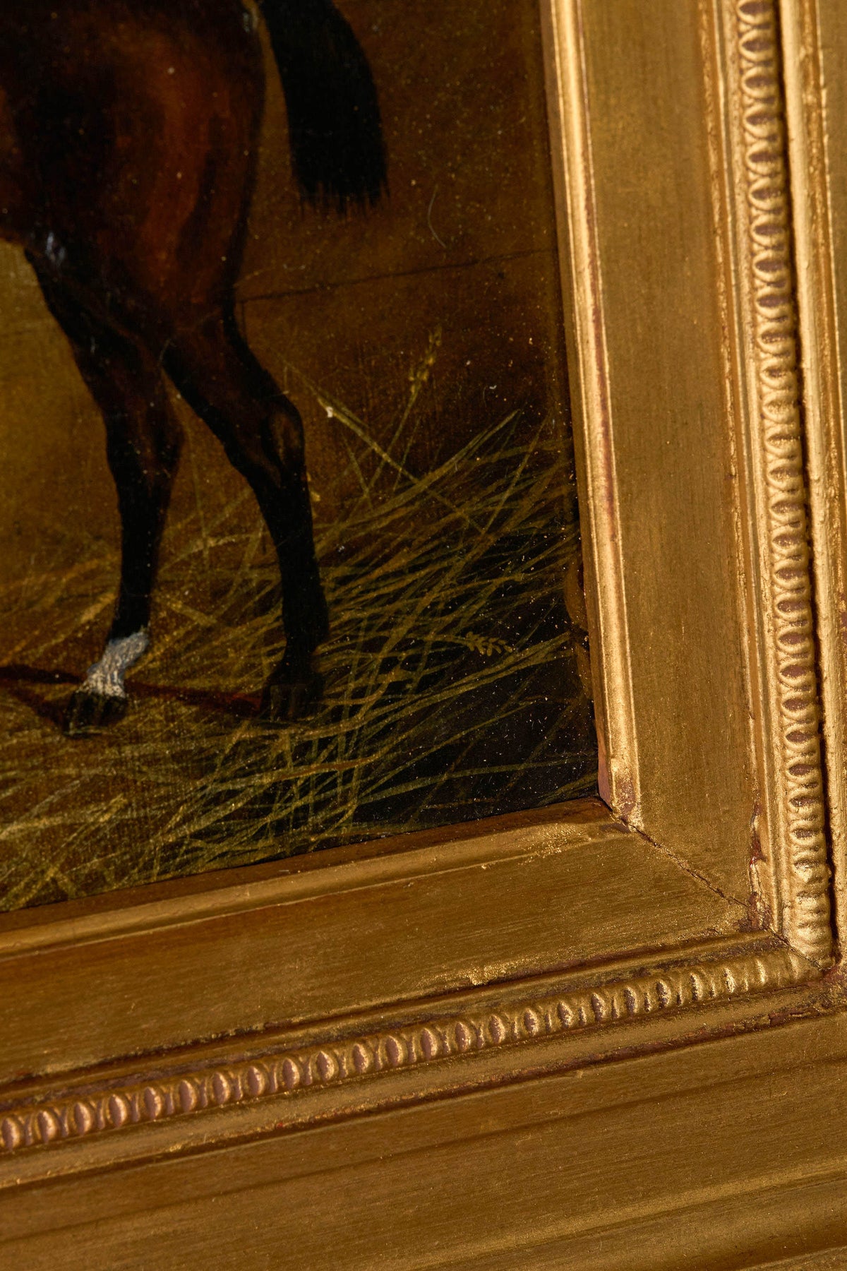 19th Century Equestrian Horse Portrait in Original Gilt Frame (c. 1830)