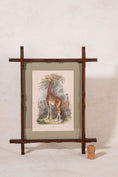 Load image into Gallery viewer, Hand Colored 19th Century Giraffe Lithograph in English Arts + Crafts Oak Frame
