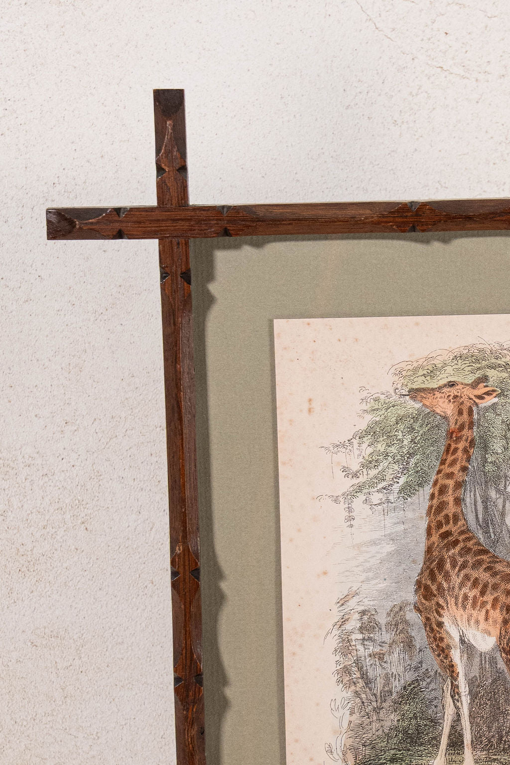 Hand Colored 19th Century Giraffe Lithograph in English Arts + Crafts Oak Frame