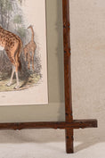 Load image into Gallery viewer, Hand Colored 19th Century Giraffe Lithograph in English Arts + Crafts Oak Frame
