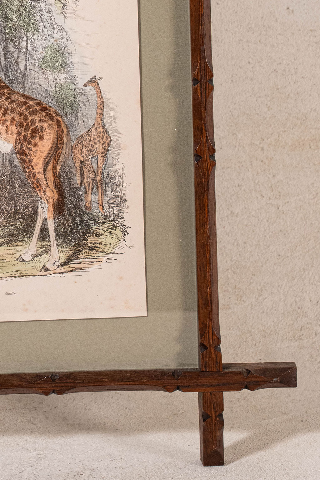 Hand Colored 19th Century Giraffe Lithograph in English Arts + Crafts Oak Frame