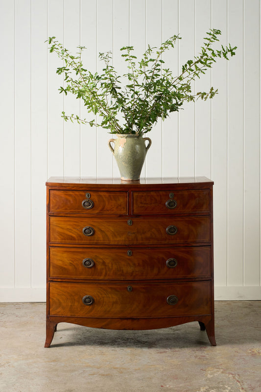 19th Century English Mahogany Two Over Three Bow Front Chest With Circle Pulls