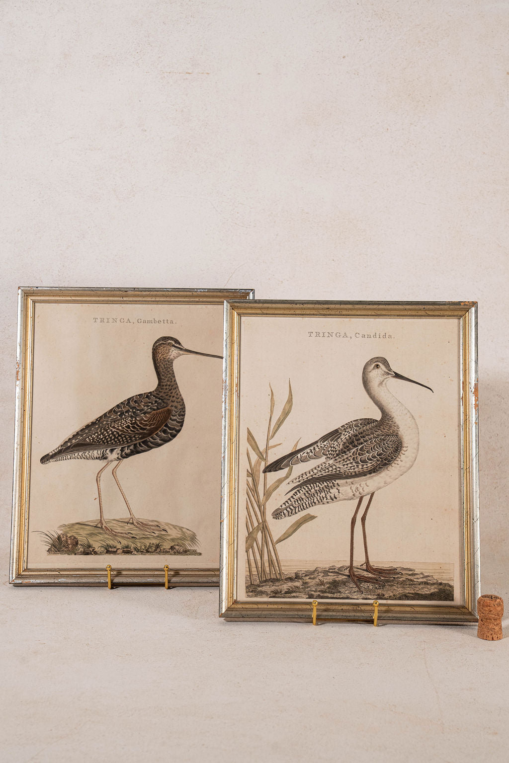 PAIR of Gilt Wood Framed 18th Century Hand Colored Bird Engravings