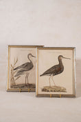 Load image into Gallery viewer, PAIR of Gilt Wood Framed 18th Century Hand Colored Bird Engravings

