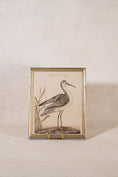 Load image into Gallery viewer, PAIR of Gilt Wood Framed 18th Century Hand Colored Bird Engravings
