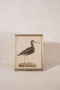 Load image into Gallery viewer, PAIR of Gilt Wood Framed 18th Century Hand Colored Bird Engravings
