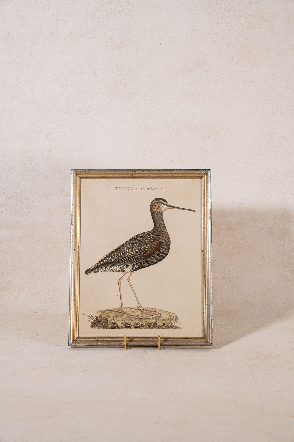 PAIR of Gilt Wood Framed 18th Century Hand Colored Bird Engravings