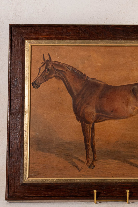 Original Horse Watercolor in English Oak Frame (c. 1910)