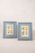Load image into Gallery viewer, PAIR of Antique Botanical Prints | Custom Float Mount in Blue Vintage Frame
