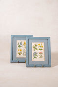 Load image into Gallery viewer, PAIR of Antique Botanical Prints | Custom Float Mount in Blue Vintage Frame
