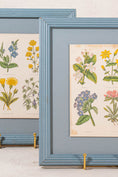 Load image into Gallery viewer, PAIR of Antique Botanical Prints | Custom Float Mount in Blue Vintage Frame
