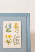 Load image into Gallery viewer, PAIR of Antique Botanical Prints | Custom Float Mount in Blue Vintage Frame
